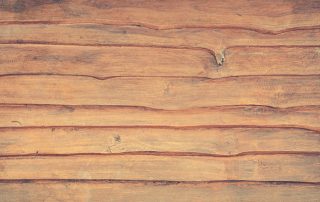Dealing With Wood Rot – How To Fix It And What To Expect